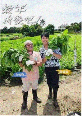 蜂鸟影院综艺在线看 山海食堂 剧照